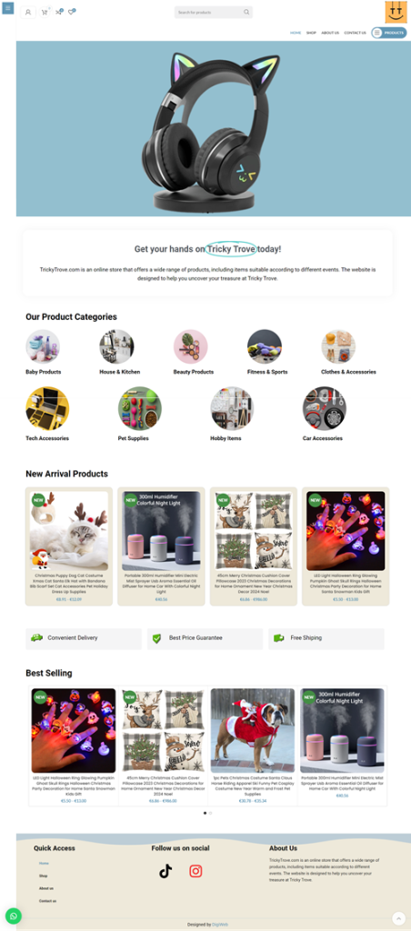 صفحه اصلی 16 Trickytrove digiwb portfolio